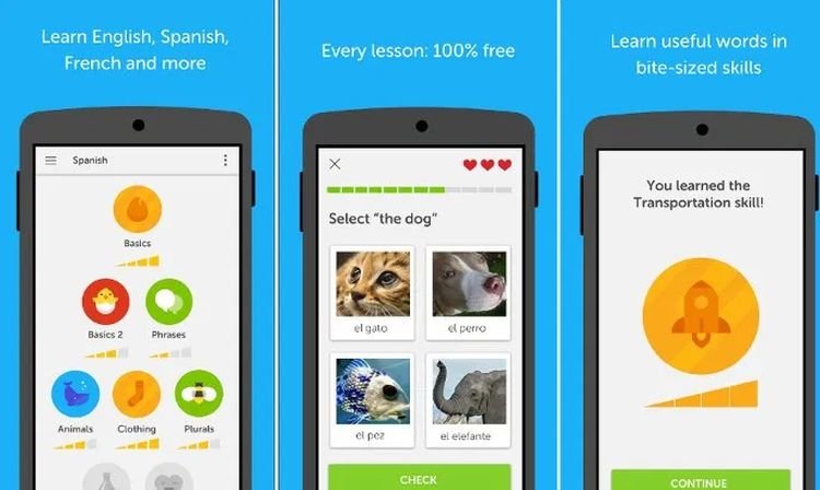 trang web học tiếng anh miễn phí Duolingo